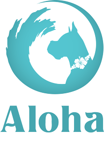 aloha pet resort and spa cedar falls iowa